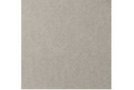 LANA Бумага для пастели 50х65 160г холодный серый