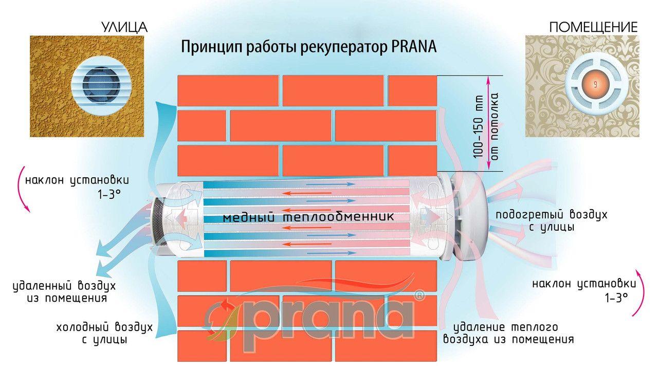 Рекуператор Prana - 340A - фото 6 - id-p49419651