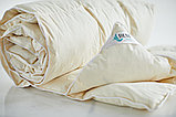 Одеяло пуховое зимнее (90% пух/10% перо)  полутороспальное 140х205, фото 3
