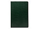 Ежедневник Flexy, недатированный, А5, в гибкой обложке Buffalo, зеленый, фото 3