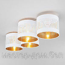TK Lighting 854, фото 2