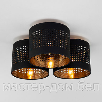 TK Lighting 851, фото 2