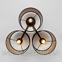 TK Lighting 851, фото 3