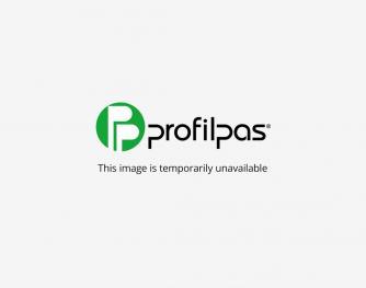 Профиль Pronivel P 2,7м латунь - фото 6 - id-p135154573