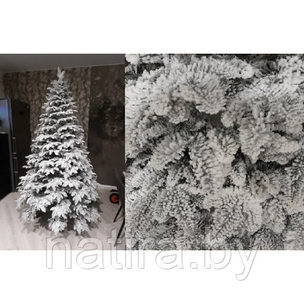 Елка Монблан 2,1м, фото 2