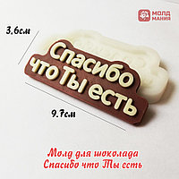 Молд для шоколада Спасибо что Ты есть