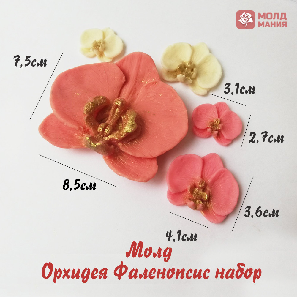 Молд  Орхидея Фаленопсис набор
