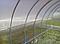 Теплица Агросфера-Престиж 10 метров полик 3мм, фото 2