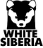 Официальный интернет-магазин WHITE SIBERIA. Комфортный и надежный электротранспорт для каждого.
