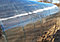 Теплица Агросити Титан 4 метра полик 3мм, фото 5