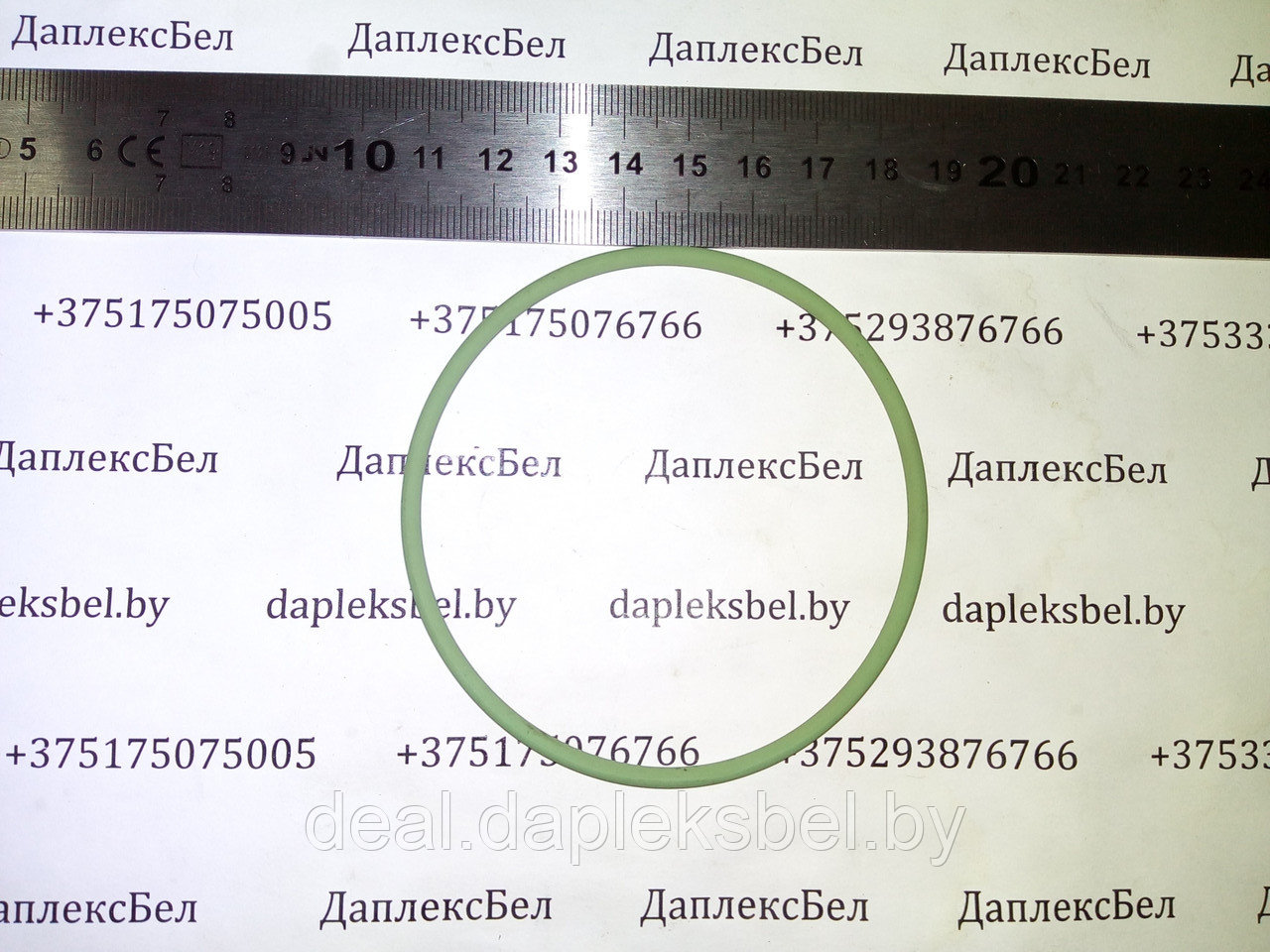 Кольцо 31097488 фланца ТНВД Моторпал Евро-2