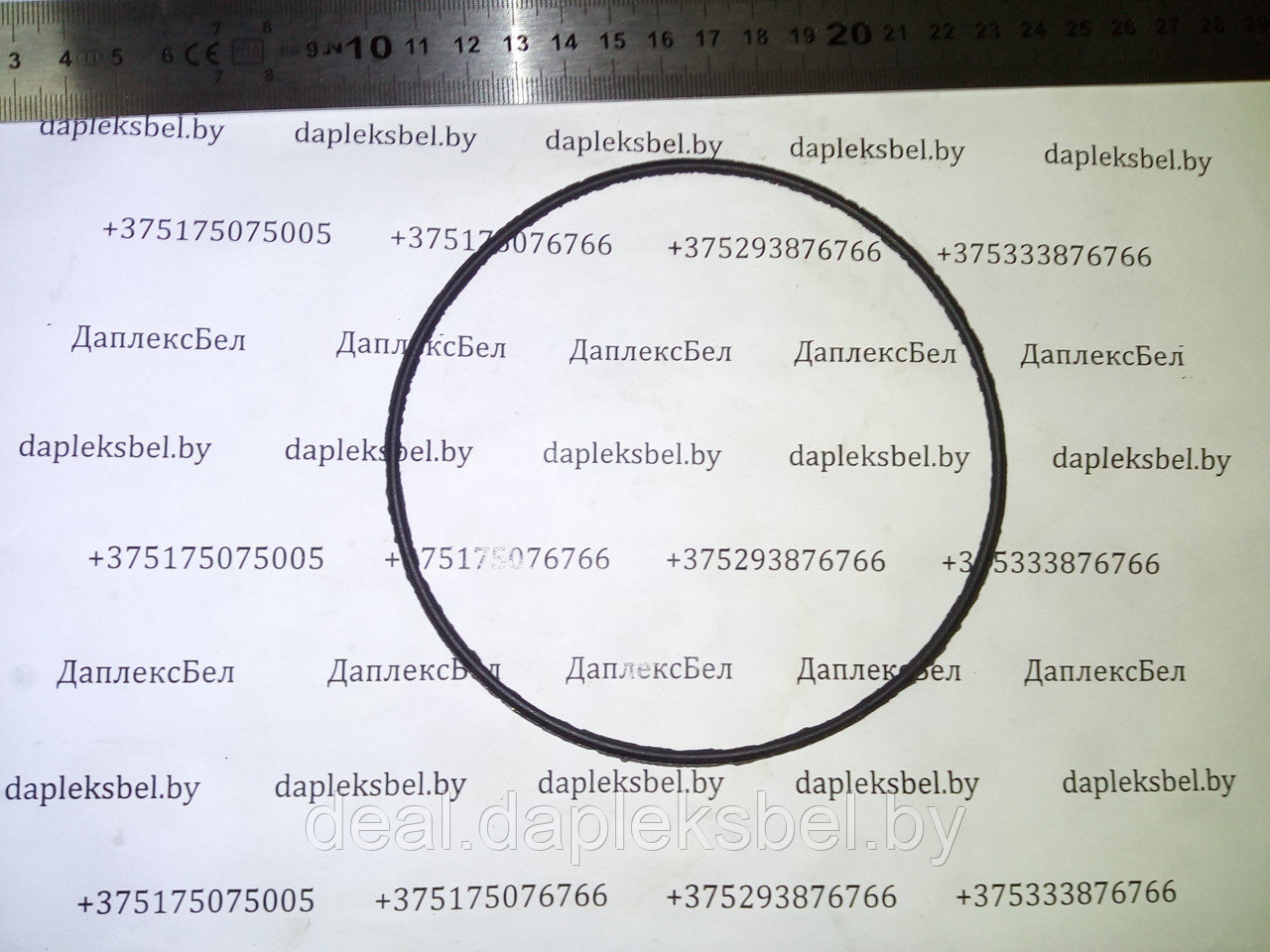 Кольцо 33.1121100 (117-121-25) МОВ 33, 333 ЯзРТИ