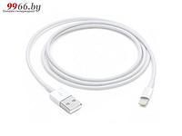 Аксессуар APPLE USB - Lightning 1m MXLY2ZM/A