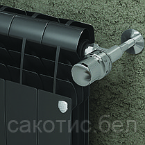 Радиатор Royal Thermo BiLiner 500 /Noir Sable - 10 секц., фото 3