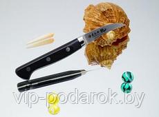 Кухонный нож RYUSEN Blazen Paring BZ-119