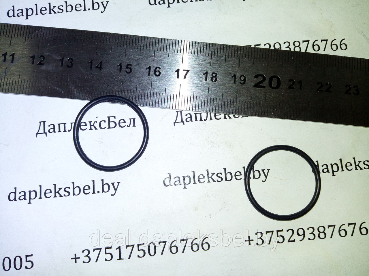 Кольцо 36097256 секции ТНВД Моторпал Евро-2