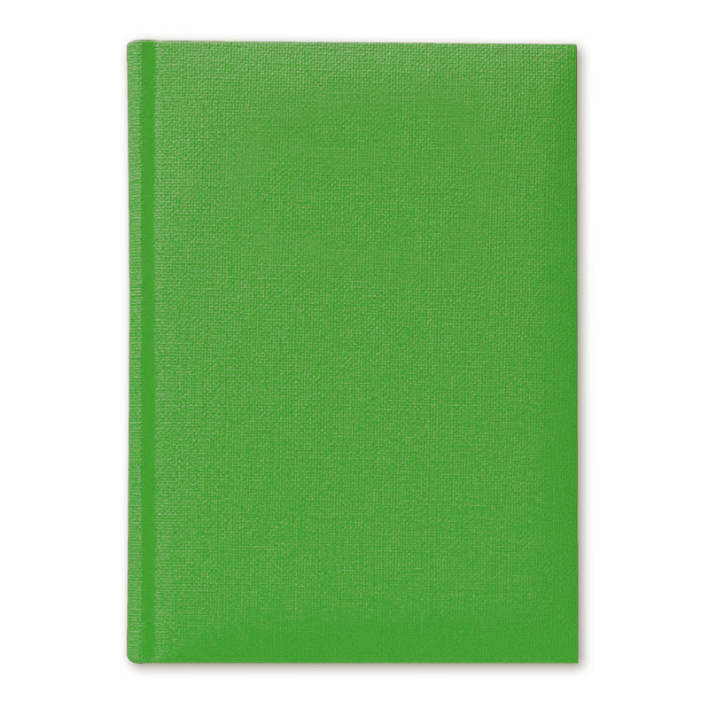 Ежедневник недатированный A5, V77, DELHI, светло-зелёный