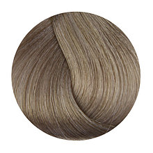 Fanola Крем-краска для волос (100 мл) 10.11