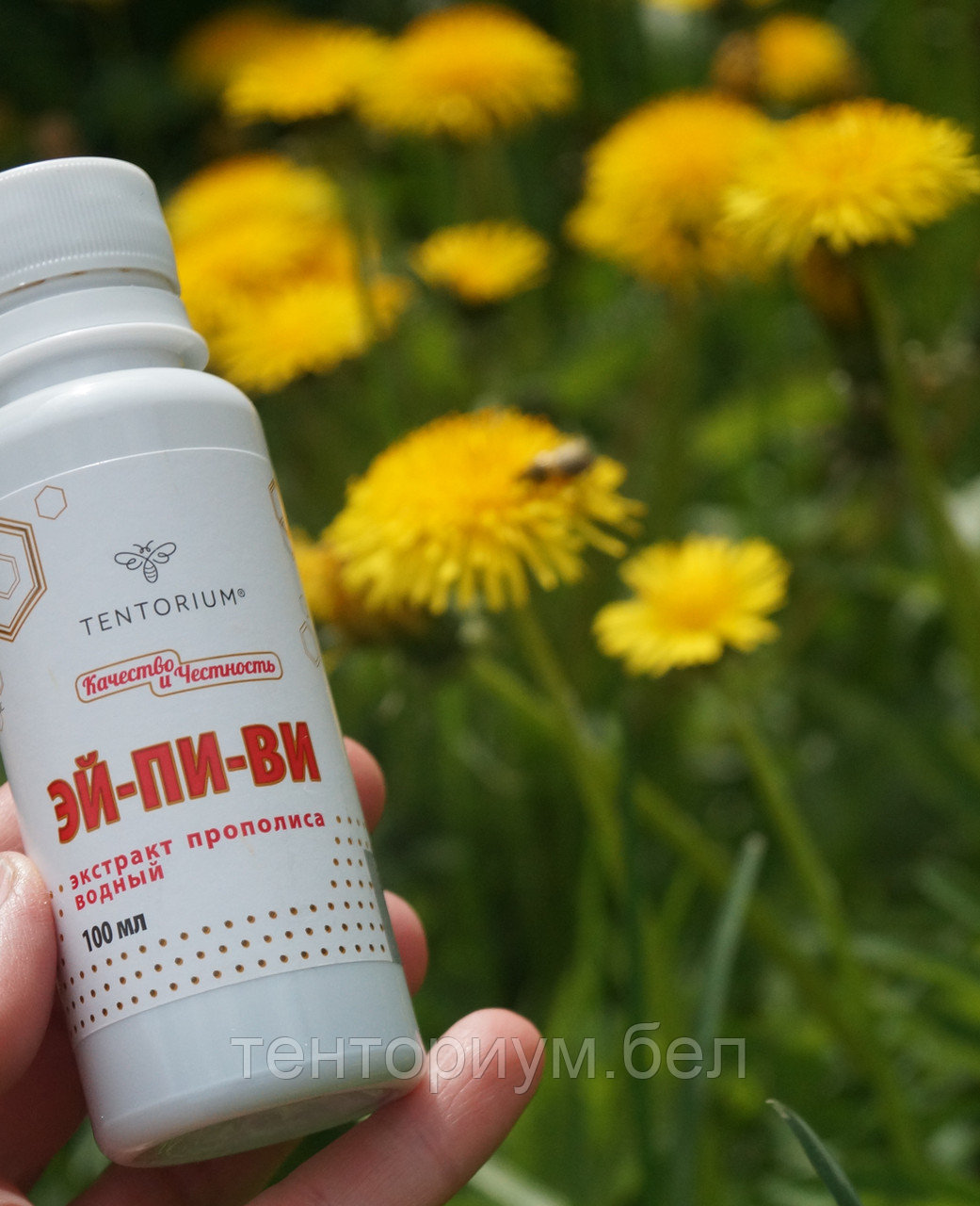 Прополис эликсир здоров. Прополис лекарство для желудка. Масло прополисное с живицей, 100 мл жива. Прополис для жкт. Прополис лечебные для желудка.