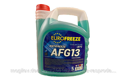 Антифриз зеленый Eurofreeze AFG13 -40 10 - фото 1 - id-p136007829