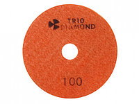 Алмазный гибкий шлифкруг ""Черепашка"" 100 № 100 (мокрая шл.) (Trio-Diamond)