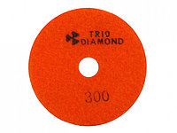 Алмазный гибкий шлифкруг ""Черепашка"" 100 № 300 (мокрая шл.) (Trio-Diamond)