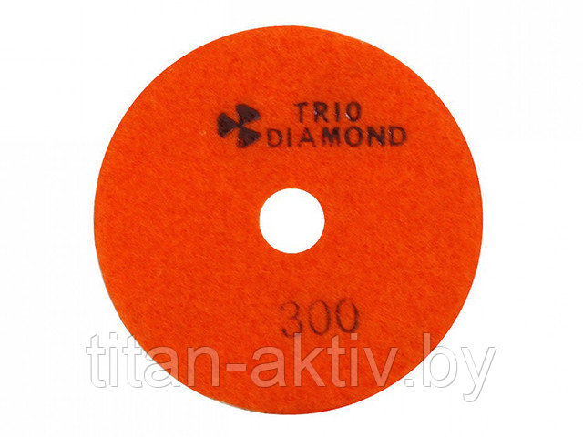 Алмазный гибкий шлифкруг ""Черепашка"" 100 № 300 (мокрая шл.) (Trio-Diamond) - фото 1 - id-p136183967