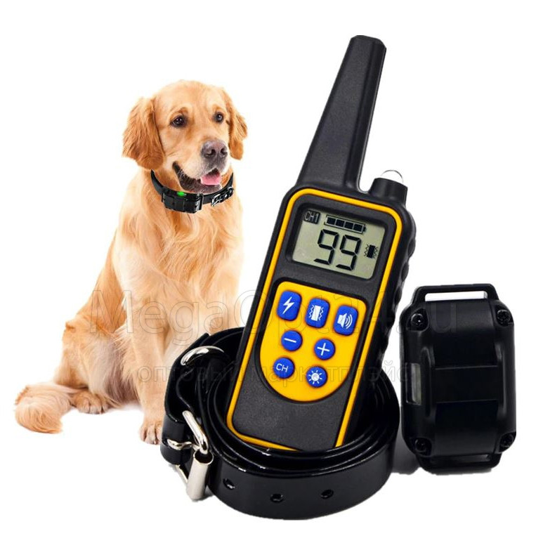 Электрический ошейник для собак с пультом - фото 1 - id-p136193028