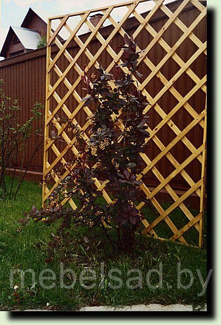 Решетка-шпалера садовая декоративная из массива сосны "Дачная №2" - фото 1 - id-p136193774