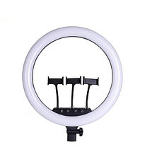 Кольцевая светодиодная LED лампа RL-18 45 см. + 3 держателя для телефона + штатив 2,1 м., фото 2