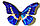 Бабочка Морфо Елена, арт.: 54а, фото 2