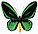 Бабочка Птицекрылка Приам, арт: 16с, фото 2