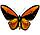 Бабочка финансового благополучия (Золотая Птицекрылка Крез), арт: 17в, фото 2
