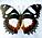 Картина-панно Бабочка Французский триколор, арт.: 76в-01, фото 2