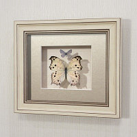 Картина-панно Бабочки Райская Листовидка и голубянка Икар, арт.: 67а