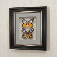Картина-панно Бабочки Золотые белянки, арт.: 79в