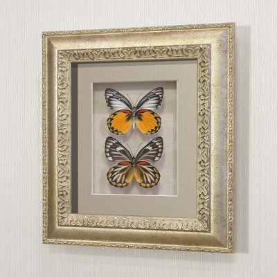 Картина-панно Бабочки Золотые белянки, арт.: 79с