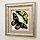 Бабочки Птицекрылка Голиаф (самец и самка), арт.: 14-118с, фото 2