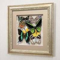 Картина-панно Сборка с зелеными доминирующими бабочками, арт.: 92с-02