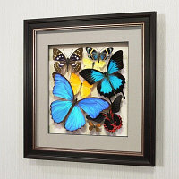 Картина-панно Сборка с синими доминирующими бабочками, арт.: 92в-01