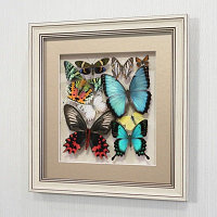 Картина-панно Сборка с разноцветными доминирующими бабочками, арт.: 92а-03