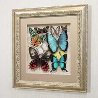 Картина-панно Сборка с разноцветными доминирующими бабочками, арт.: 92с-03