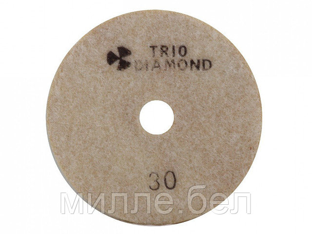 Алмазный гибкий шлифкруг "Черепашка" 100 № 30 (мокрая шл.) (Trio-Diamond) - фото 1 - id-p136250719
