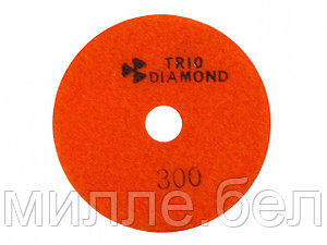Алмазный гибкий шлифкруг "Черепашка" 100 № 300 (мокрая шл.) (Trio-Diamond)