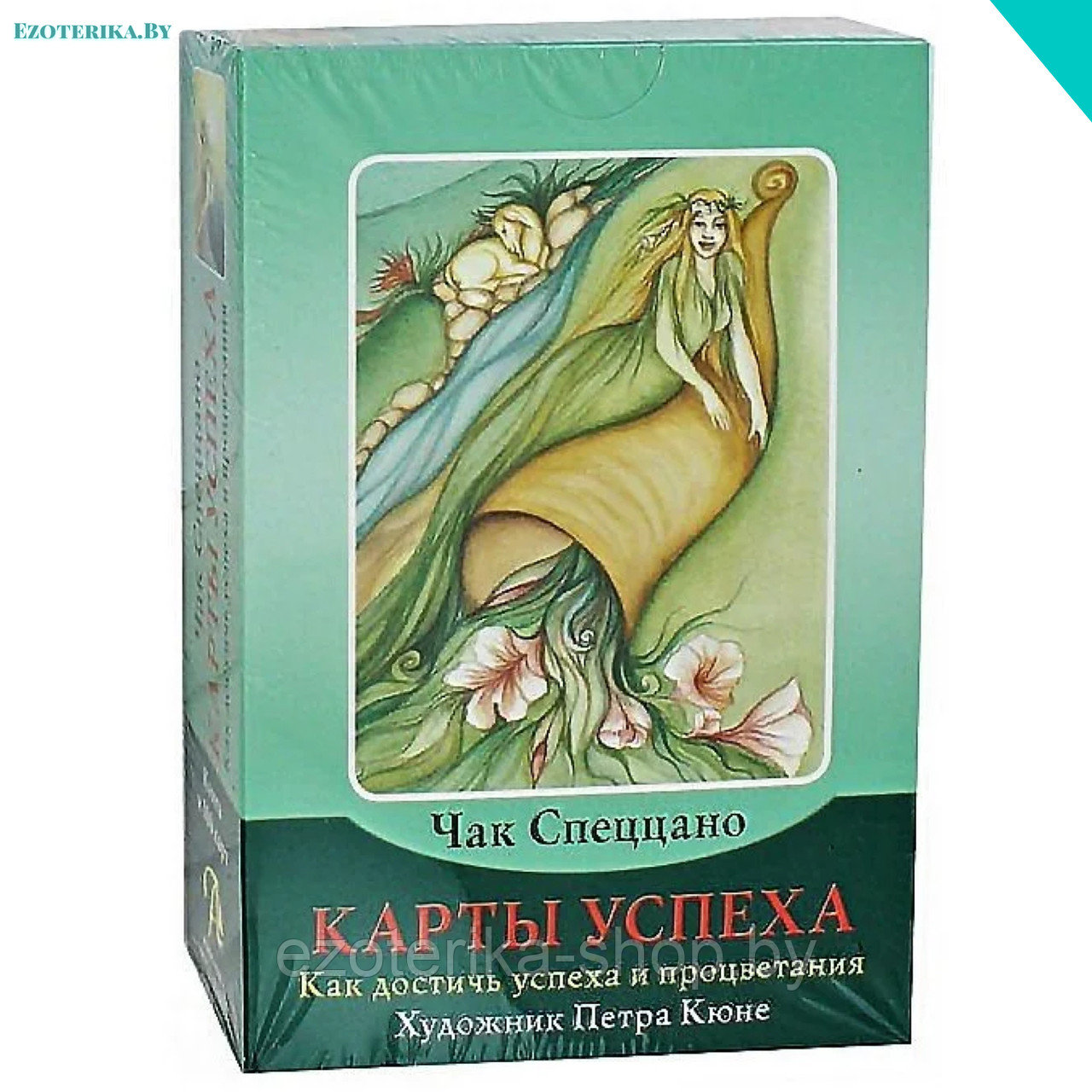 Карты жизни чака спеццано. Карта успехов для 1 класса. Карты успеха метафорические карты. Участники проекта (колесо 3с проекта). Карты успеха книга.