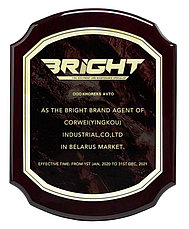 Балансировочный станок CB46 для г/а и л/а (универсальный) Bright-Horex, фото 3