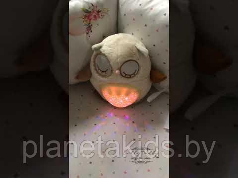 Детская игрушка - ночник "Сова с проектором" со световыми и звуковыми эффектами (JLD333-38A5) - фото 3 - id-p136341837