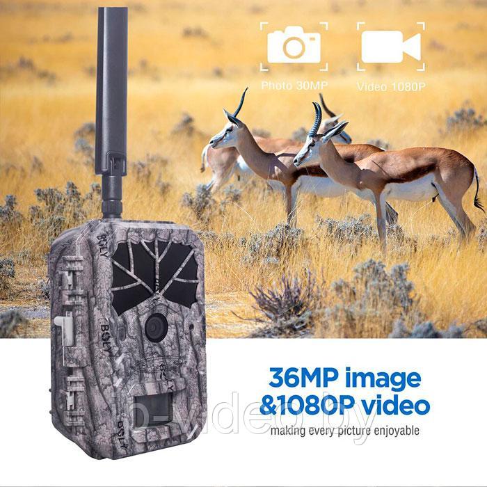 Фотоловушка BolyGuard BG636 c GPS, 4G - фото 2 - id-p136566398