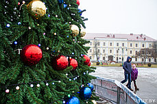 Ель каркасная "Уральская" (уличная ель), 22м, фото 2