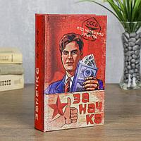 Книга сейф "Заначка"